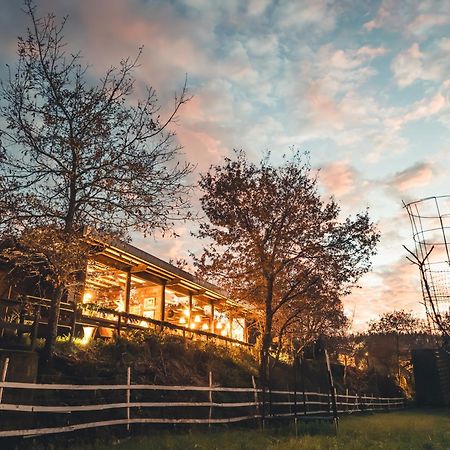 Vale Da Silva Villas - Homes Albergaria-a-Velha Zewnętrze zdjęcie