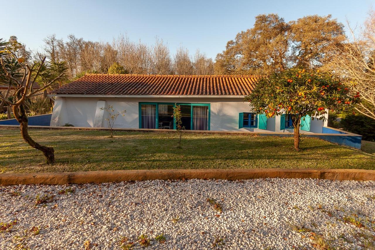 Vale Da Silva Villas - Homes Albergaria-a-Velha Zewnętrze zdjęcie