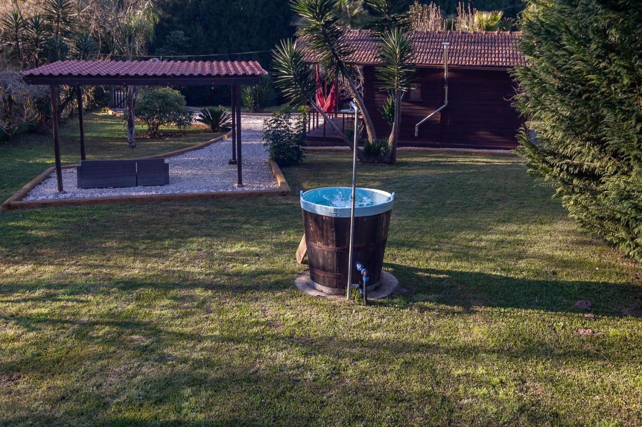 Vale Da Silva Villas - Homes Albergaria-a-Velha Zewnętrze zdjęcie