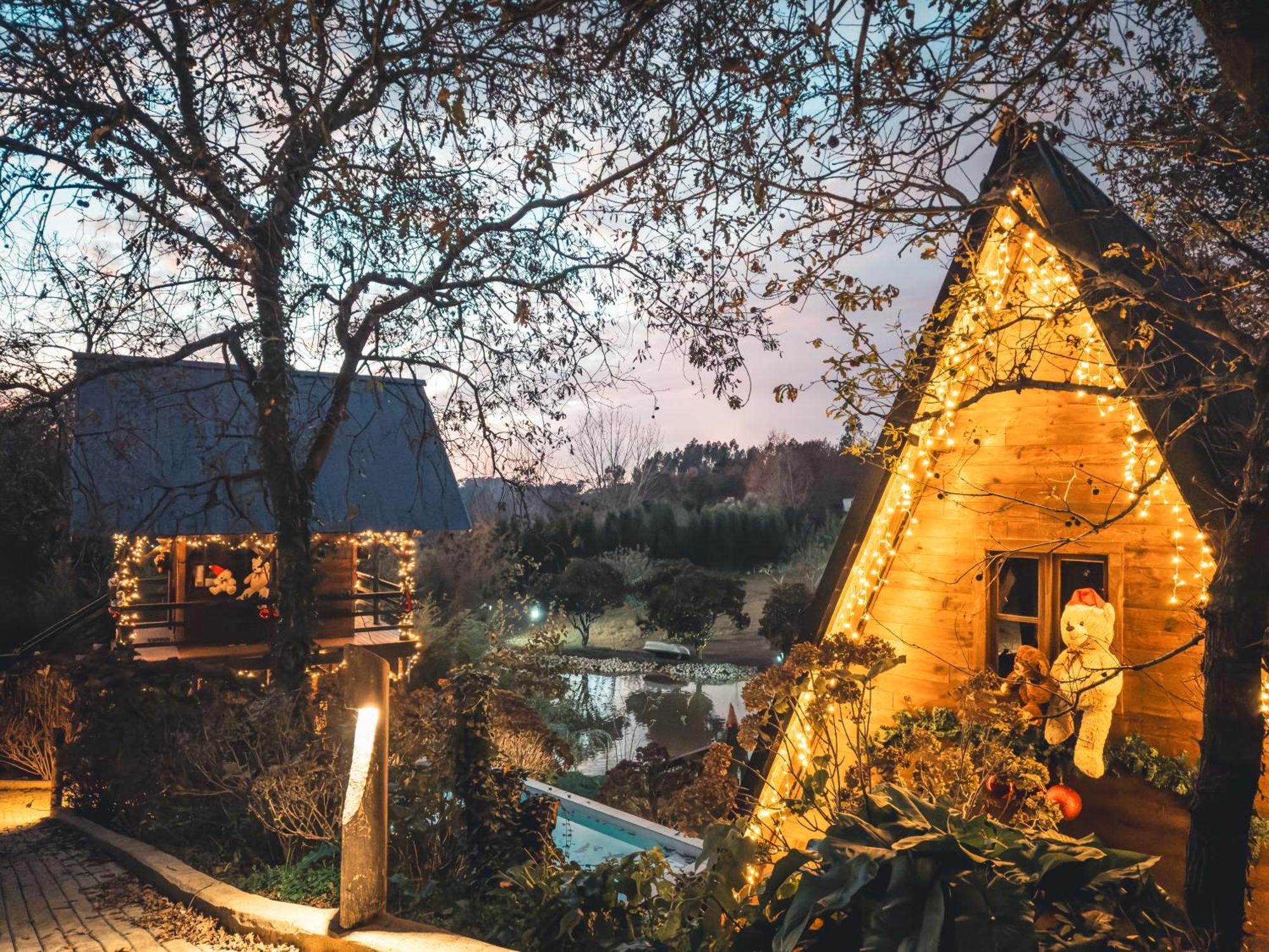 Vale Da Silva Villas - Homes Albergaria-a-Velha Zewnętrze zdjęcie
